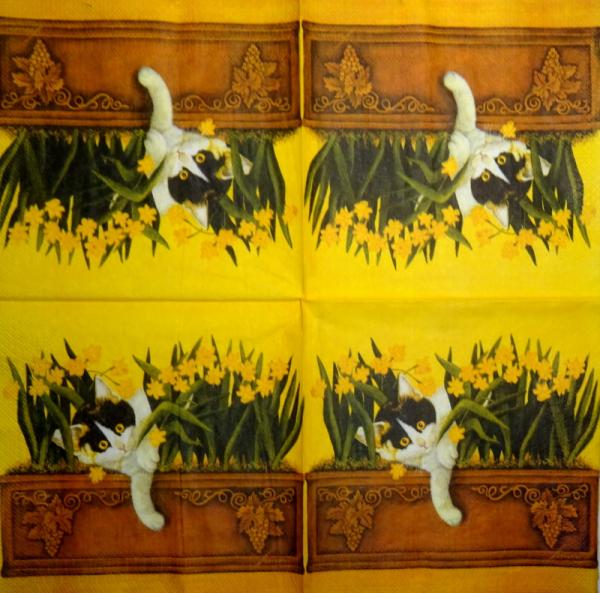 111 Cats - 3-ply - Ashdene - Lowell Herrero